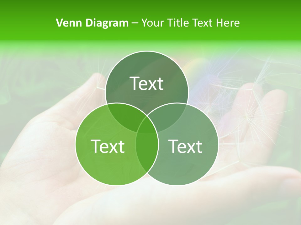 Pure Female Dandelion PowerPoint Template