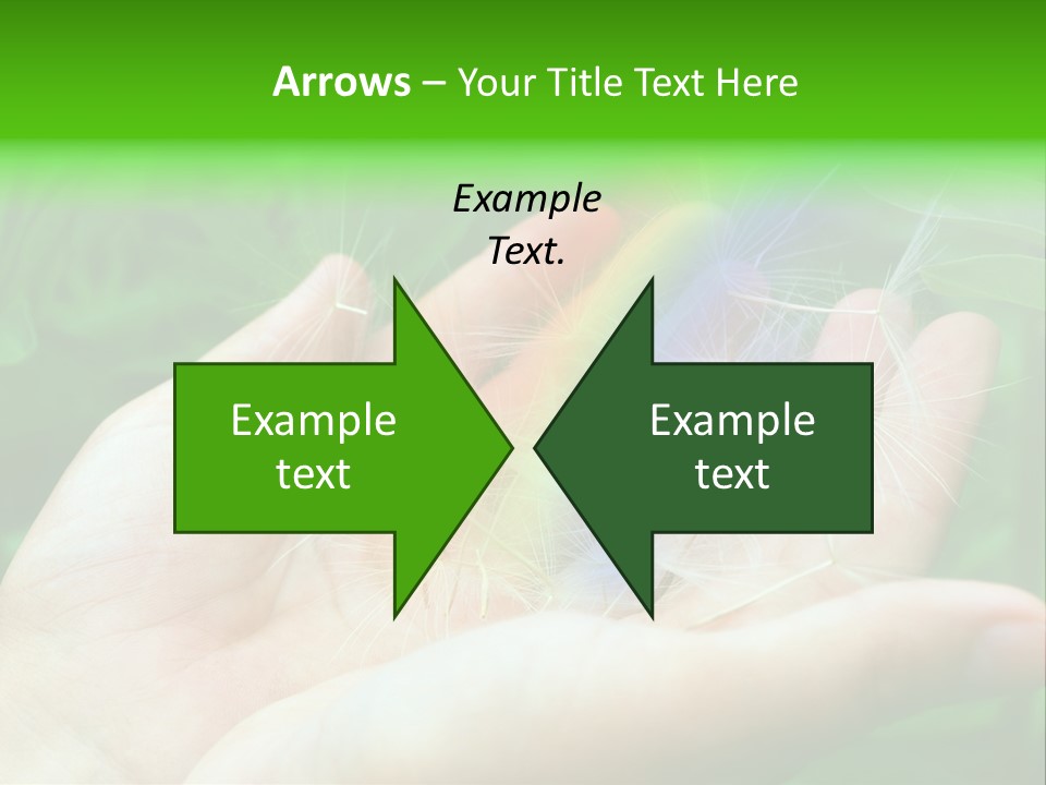 Pure Female Dandelion PowerPoint Template