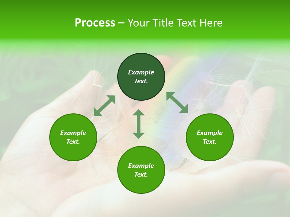 Pure Female Dandelion PowerPoint Template