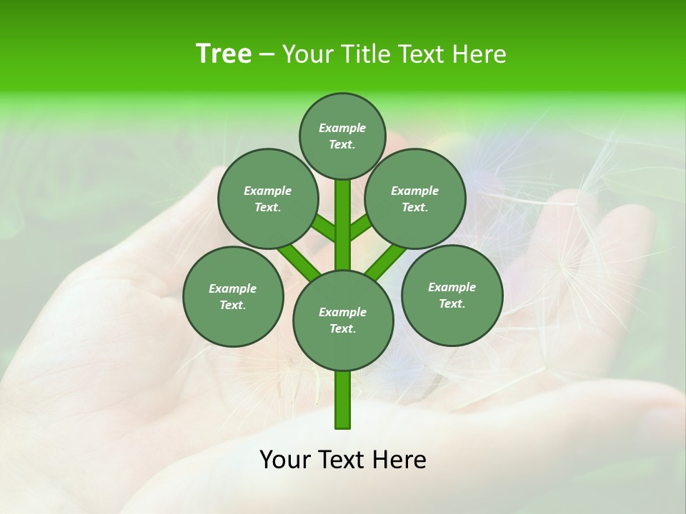 Pure Female Dandelion PowerPoint Template