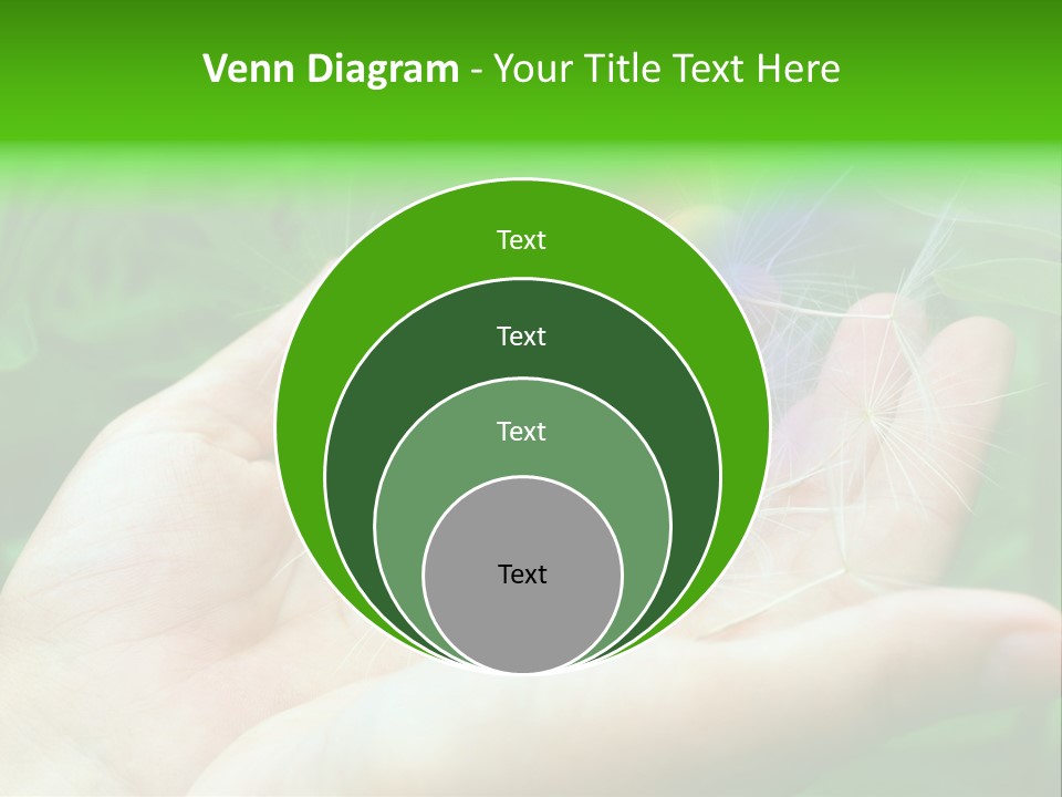 Pure Female Dandelion PowerPoint Template