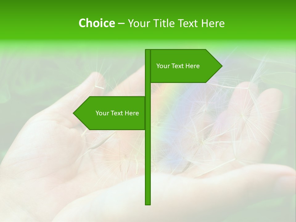 Pure Female Dandelion PowerPoint Template