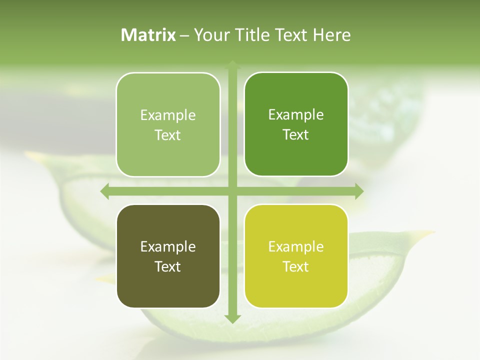 Health Heal Aloe PowerPoint Template