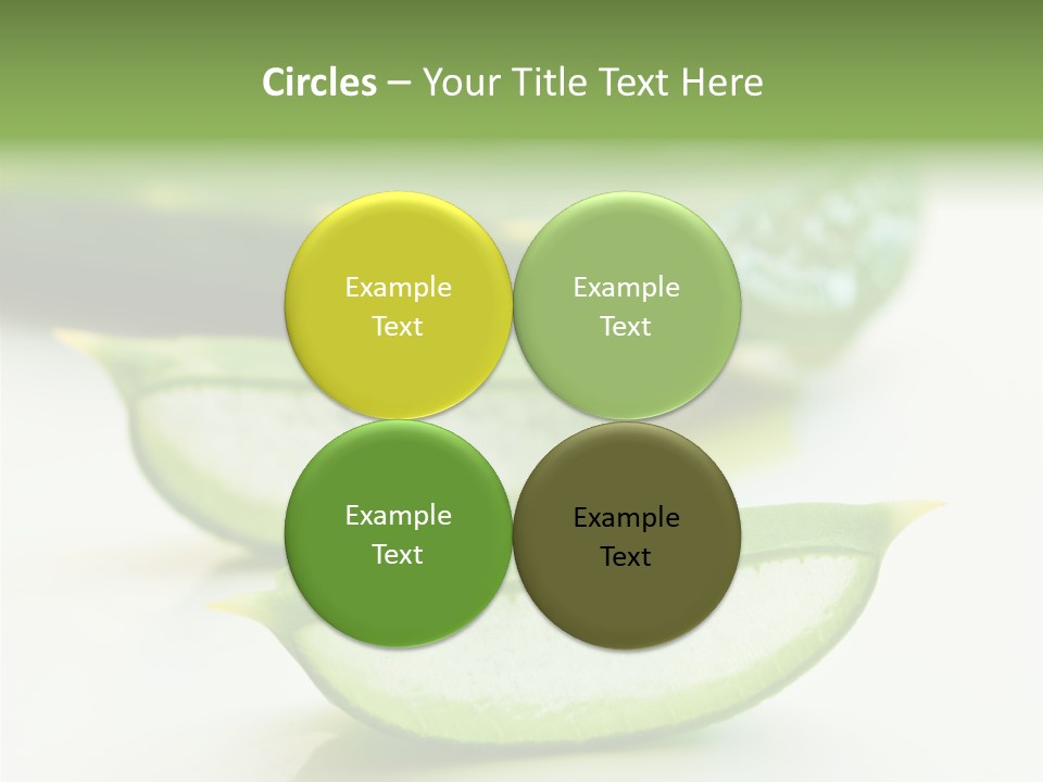 Health Heal Aloe PowerPoint Template