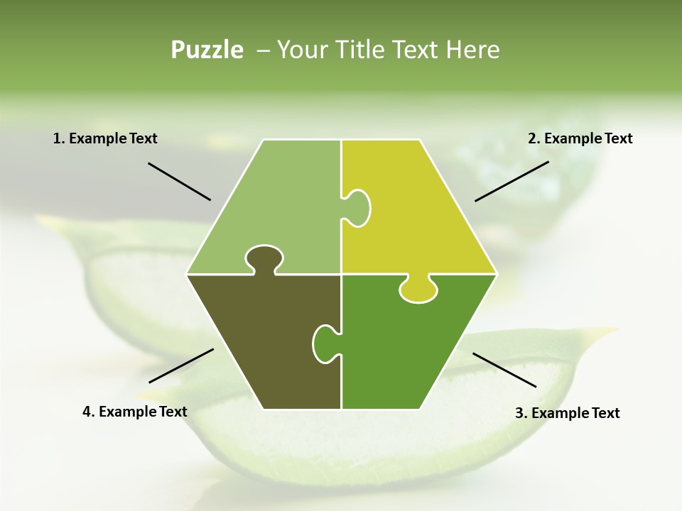 Health Heal Aloe PowerPoint Template