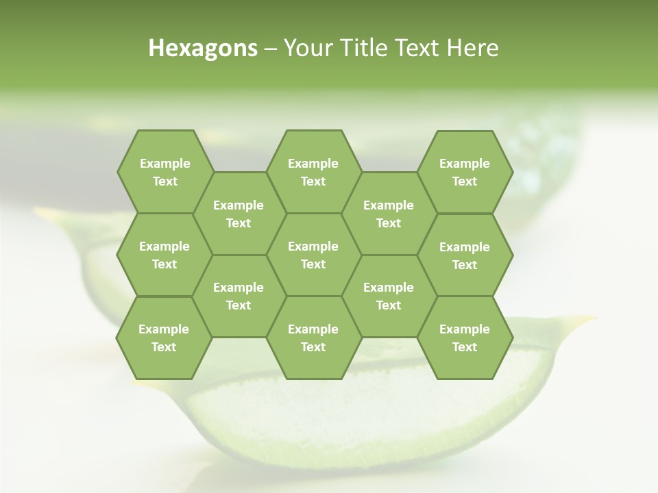 Health Heal Aloe PowerPoint Template