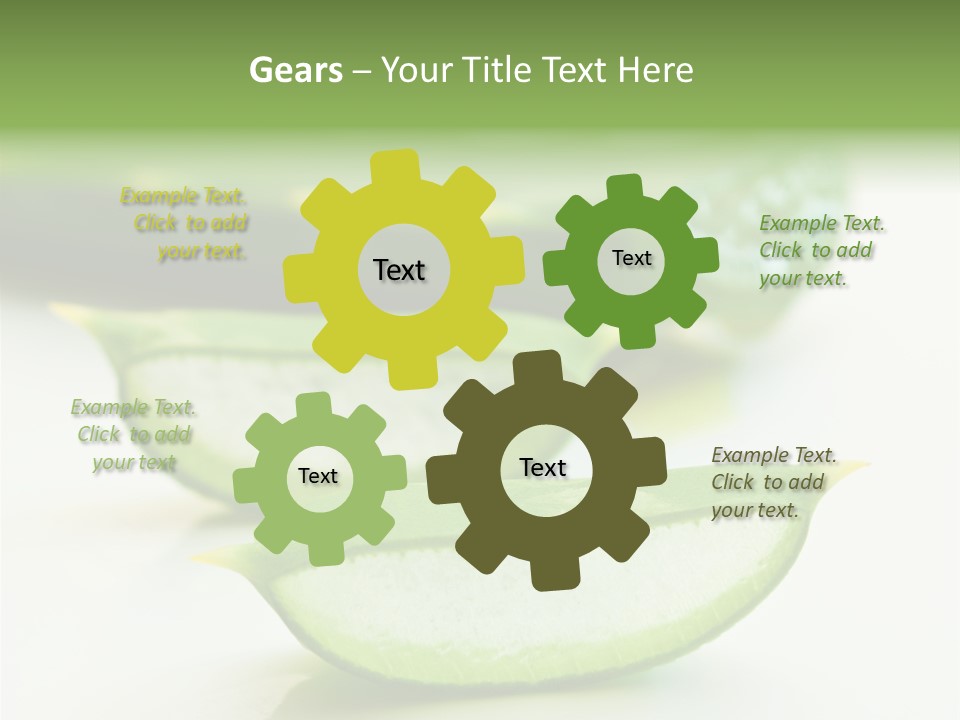 Health Heal Aloe PowerPoint Template