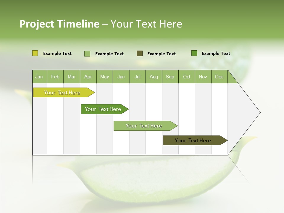 Health Heal Aloe PowerPoint Template