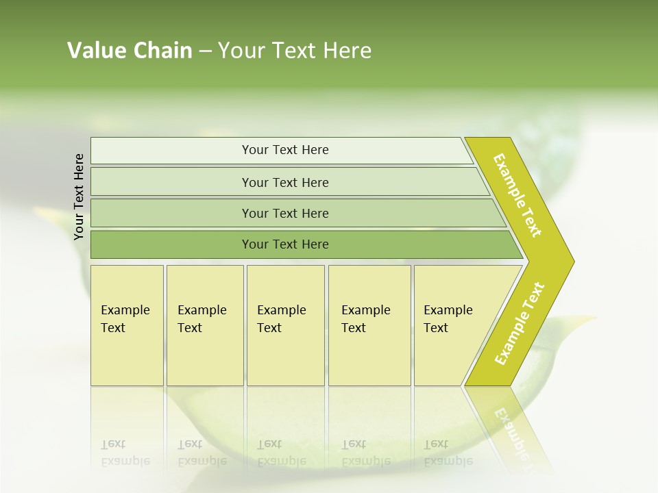 Health Heal Aloe PowerPoint Template