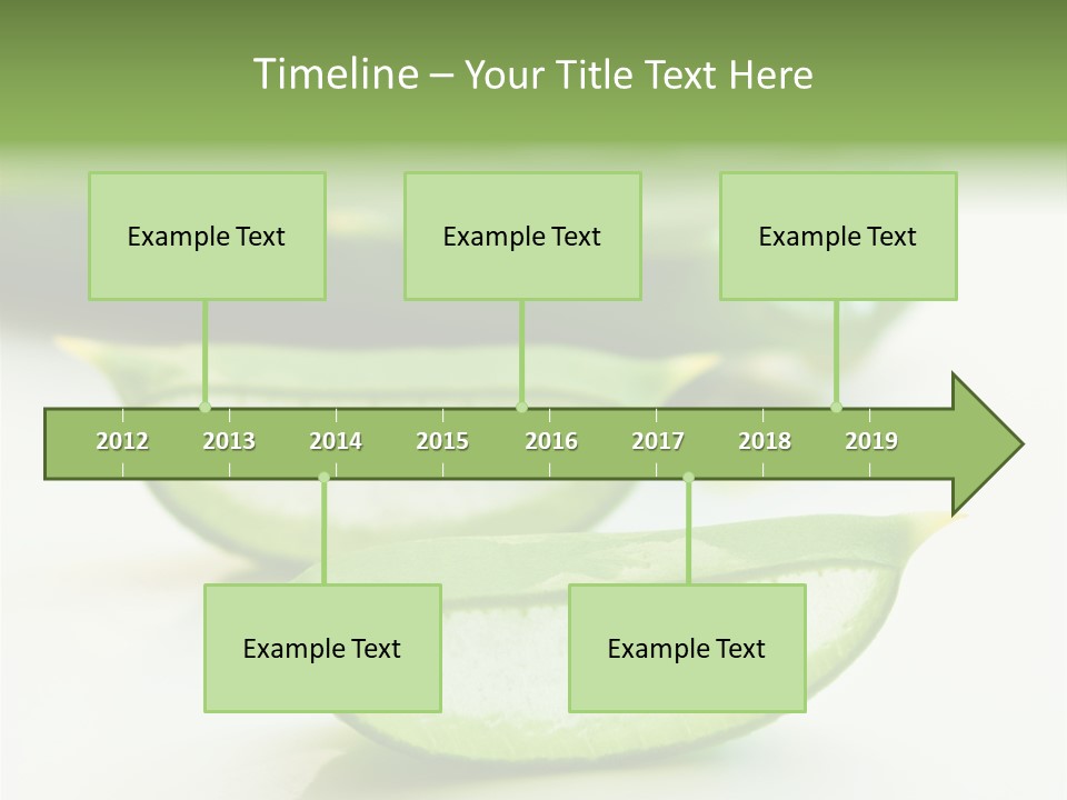 Health Heal Aloe PowerPoint Template