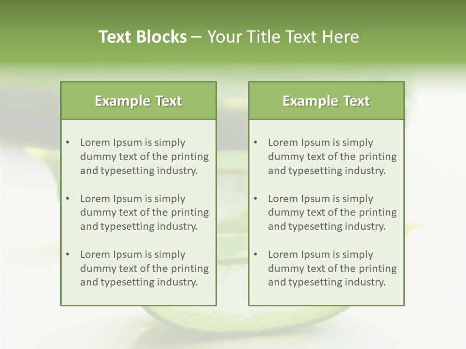 Health Heal Aloe PowerPoint Template