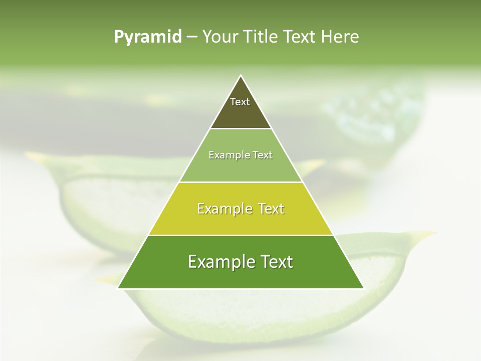 Health Heal Aloe PowerPoint Template