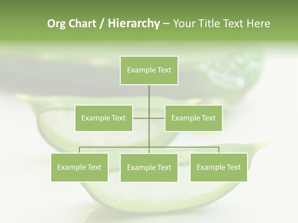 Health Heal Aloe PowerPoint Template