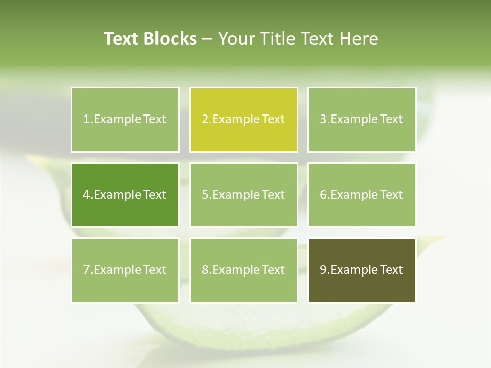 Health Heal Aloe PowerPoint Template