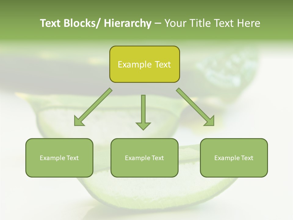 Health Heal Aloe PowerPoint Template