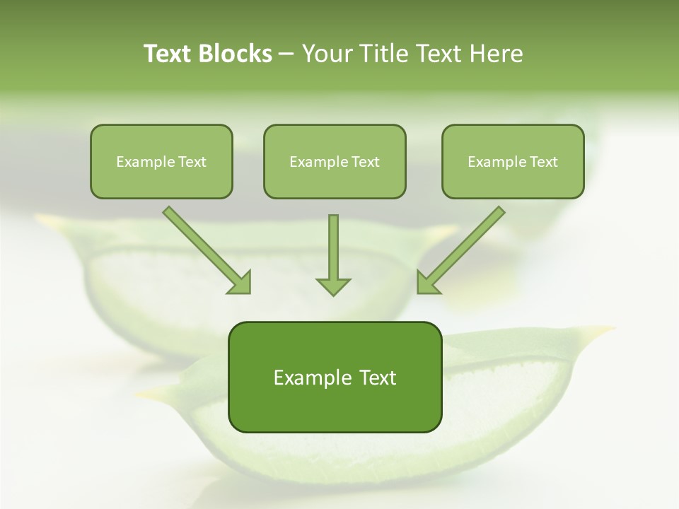 Health Heal Aloe PowerPoint Template