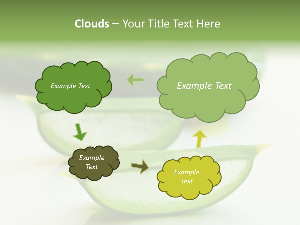 Health Heal Aloe PowerPoint Template