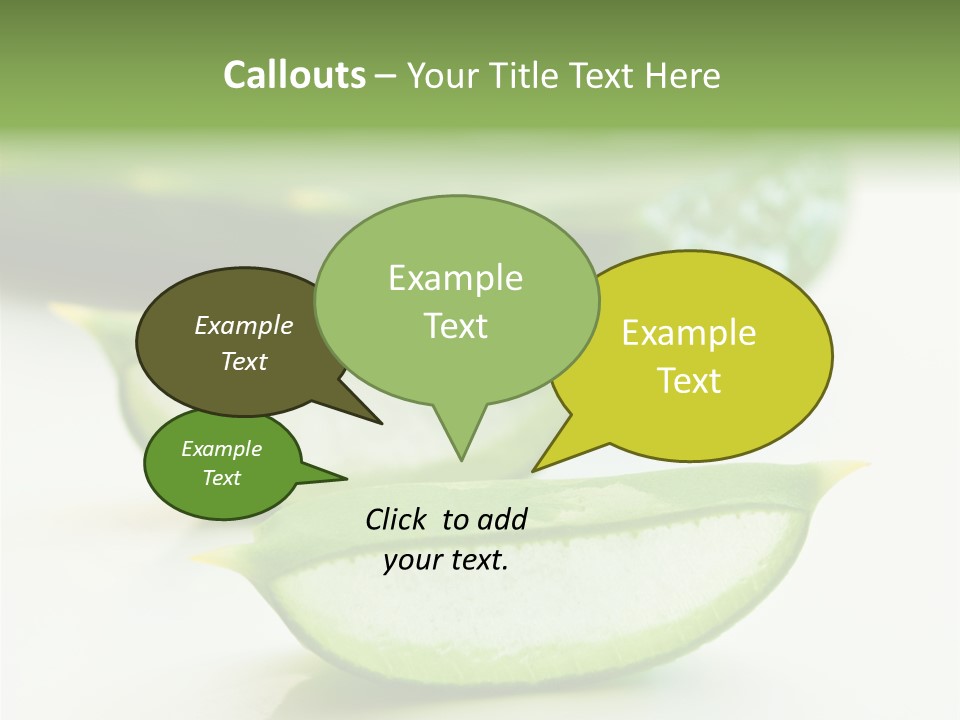 Health Heal Aloe PowerPoint Template