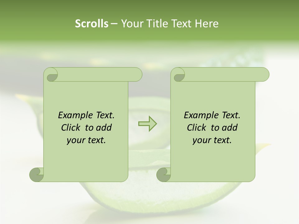 Health Heal Aloe PowerPoint Template
