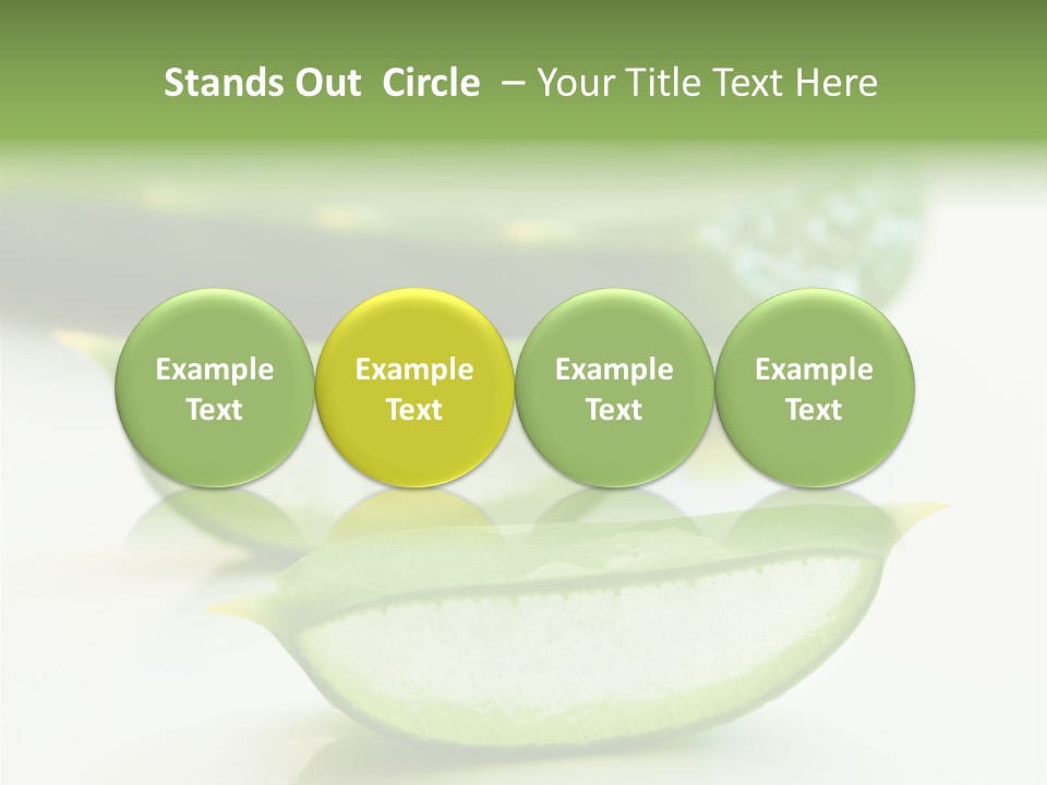 Health Heal Aloe PowerPoint Template