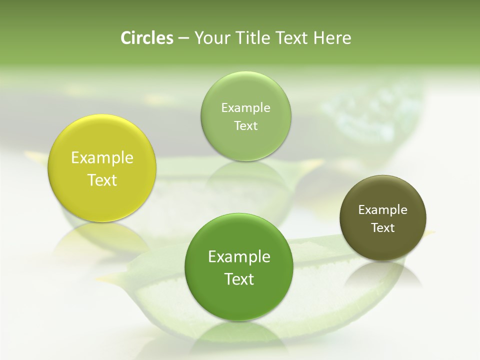 Health Heal Aloe PowerPoint Template