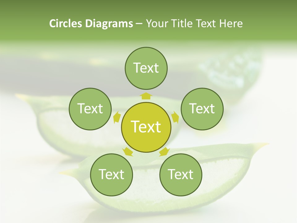 Health Heal Aloe PowerPoint Template