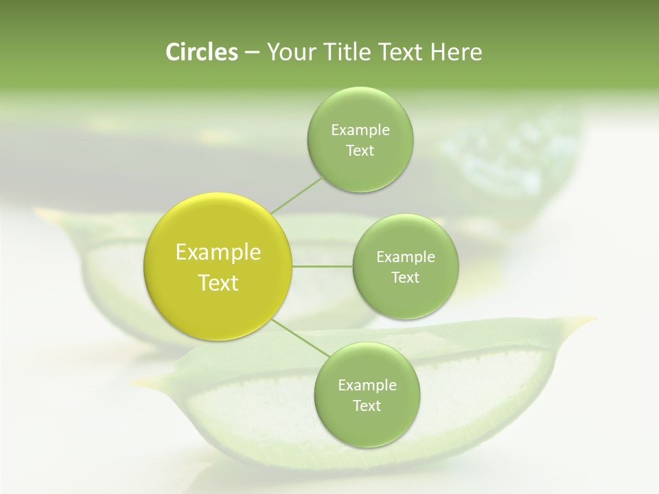 Health Heal Aloe PowerPoint Template