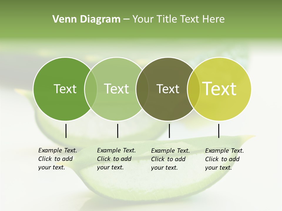 Health Heal Aloe PowerPoint Template