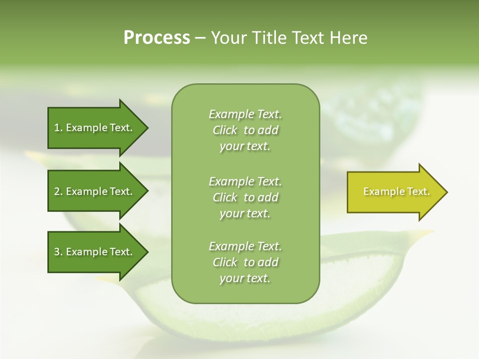 Health Heal Aloe PowerPoint Template