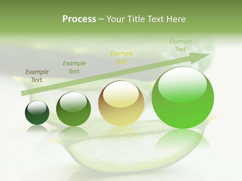 Health Heal Aloe PowerPoint Template