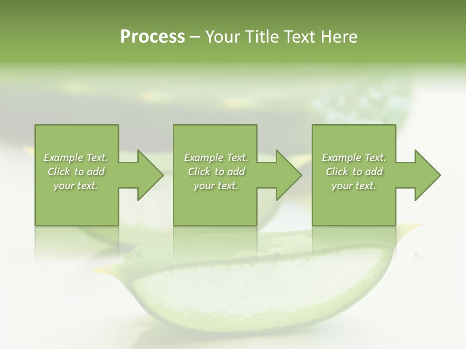Health Heal Aloe PowerPoint Template