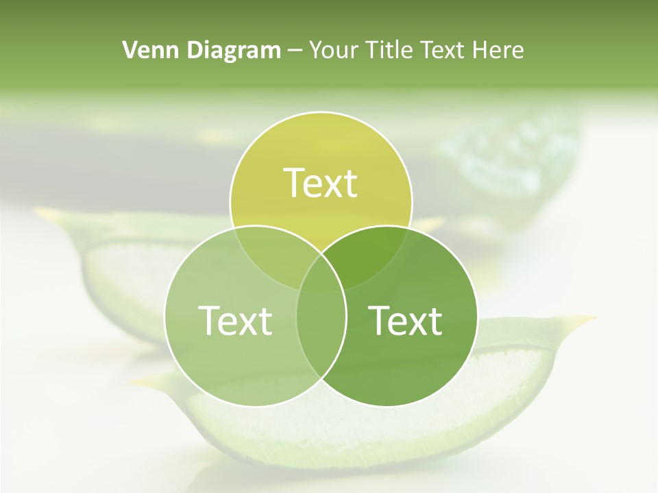 Health Heal Aloe PowerPoint Template