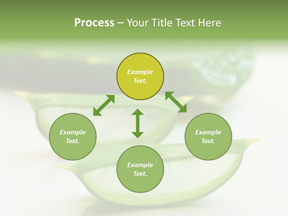 Health Heal Aloe PowerPoint Template