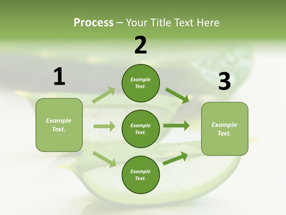 Health Heal Aloe PowerPoint Template