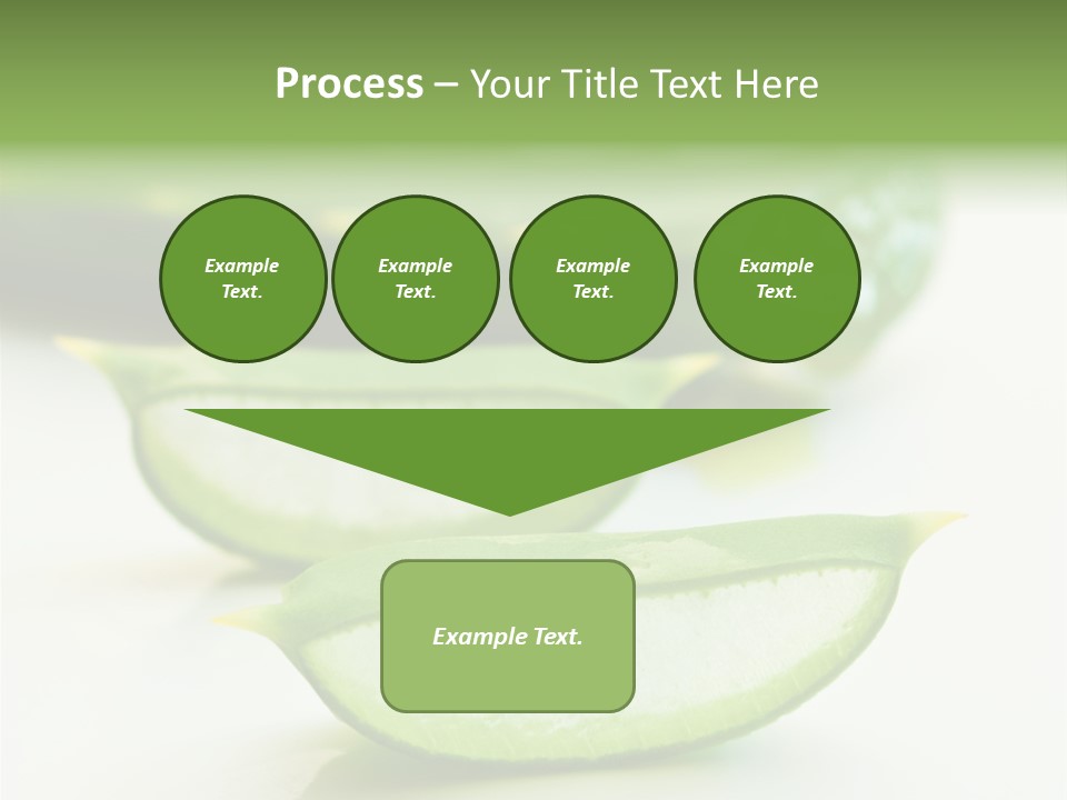 Health Heal Aloe PowerPoint Template