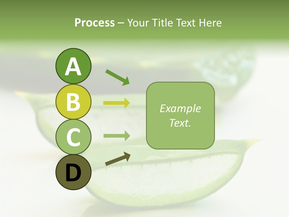 Health Heal Aloe PowerPoint Template