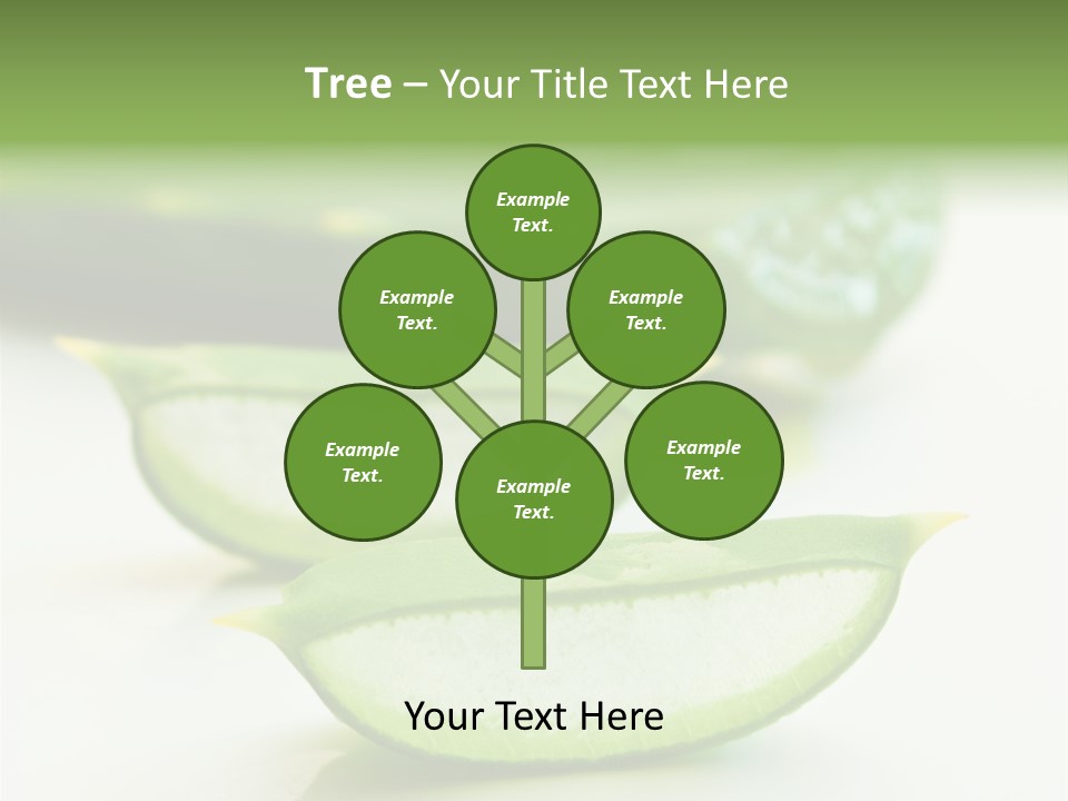 Health Heal Aloe PowerPoint Template