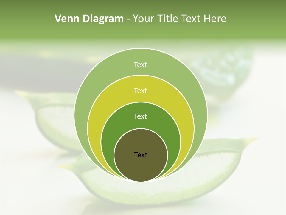Health Heal Aloe PowerPoint Template