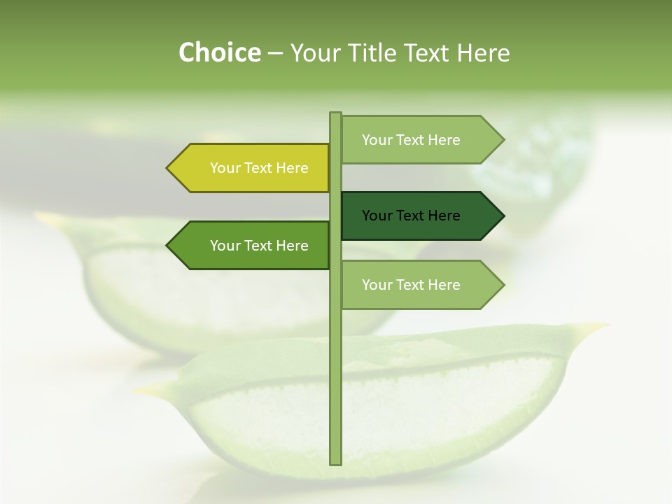 Health Heal Aloe PowerPoint Template
