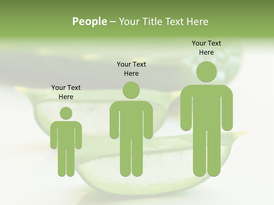 Health Heal Aloe PowerPoint Template