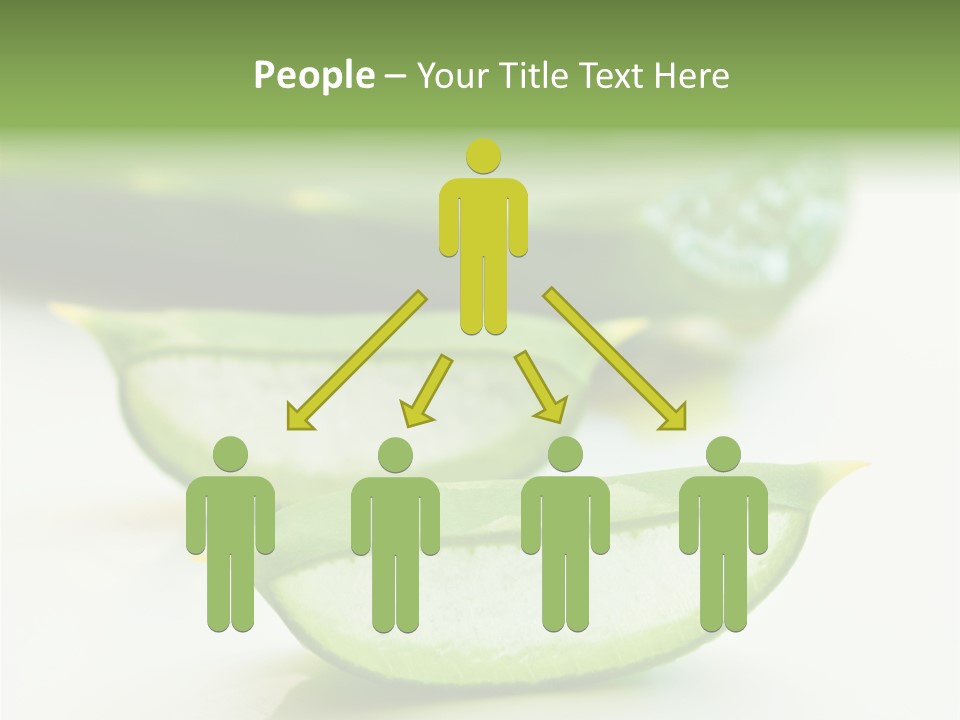 Health Heal Aloe PowerPoint Template