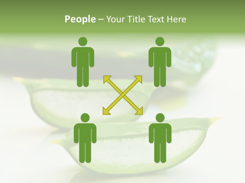 Health Heal Aloe PowerPoint Template