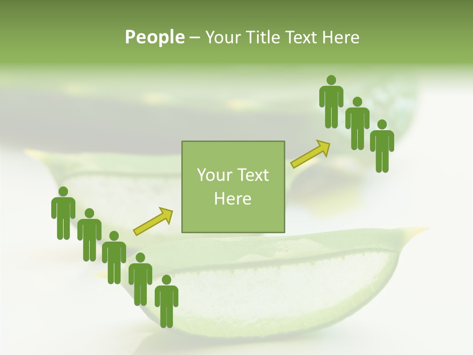 Health Heal Aloe PowerPoint Template
