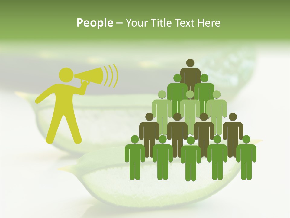 Health Heal Aloe PowerPoint Template