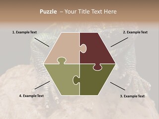 Lizard Threatened Green PowerPoint Template