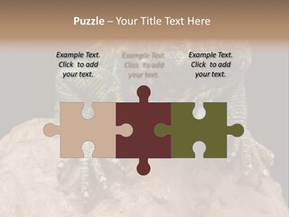 Lizard Threatened Green PowerPoint Template