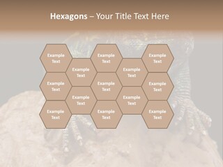 Lizard Threatened Green PowerPoint Template