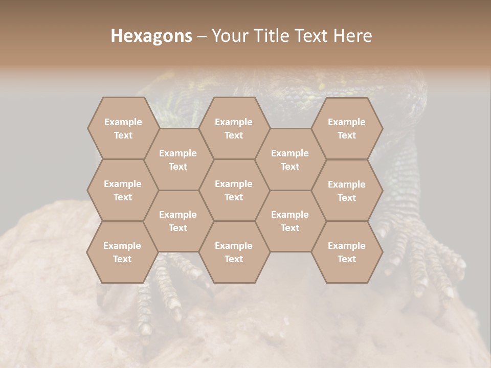 Lizard Threatened Green PowerPoint Template