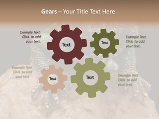 Lizard Threatened Green PowerPoint Template