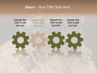 Lizard Threatened Green PowerPoint Template